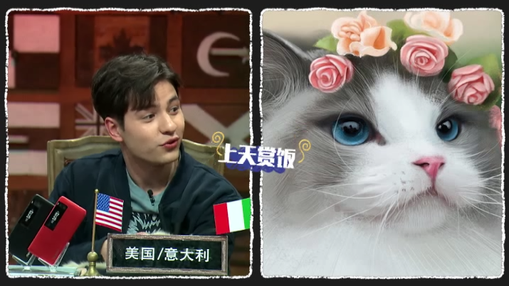“喵星人”驾到 《非正式会谈》老外现场“吸猫”