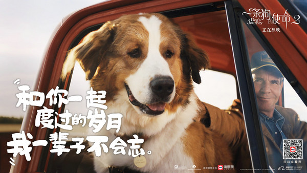 蝉联单日票房冠军,网友为《一条狗的使命2》自制视频 原来“治愈天使”就在我们身边