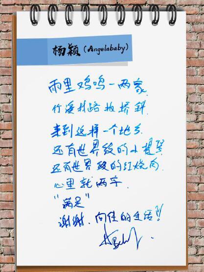 字如其人?《向往的生活》曝出明星字迹,杨颖可爱娃娃体似涂鸦